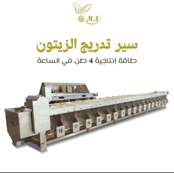 11Meters Olive Sizing Machine With 21 Gauges